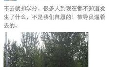 河北美院爆料视频大全,揭秘校园生活与艺术风采