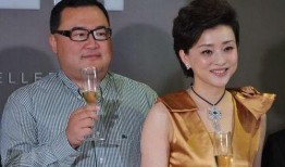 杨澜最新爆料新消息,揭秘娱乐圈惊人内幕！